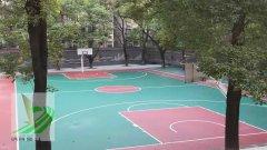 岳塘区首片新国标篮球场由365365体育在线投注建成